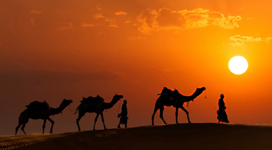 1753693361 68873cb1eaee9