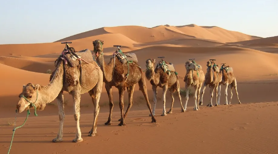 1754043246 688c936ecca6a