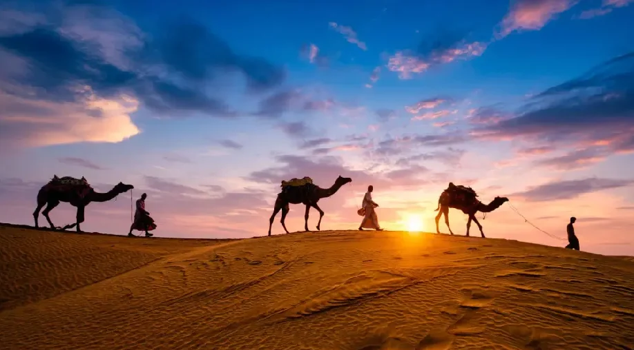 1754043333 688c93c5bca3c