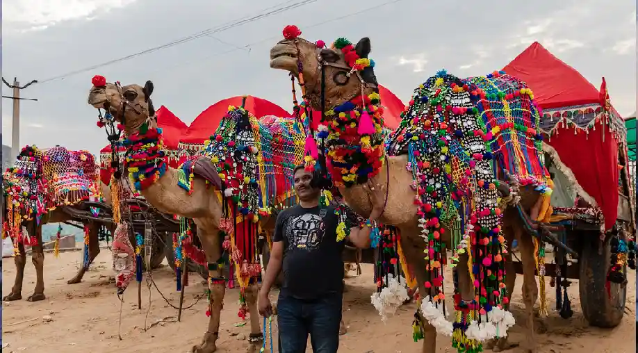 Ajmer Pushkar Tour Package from Ahmedabad