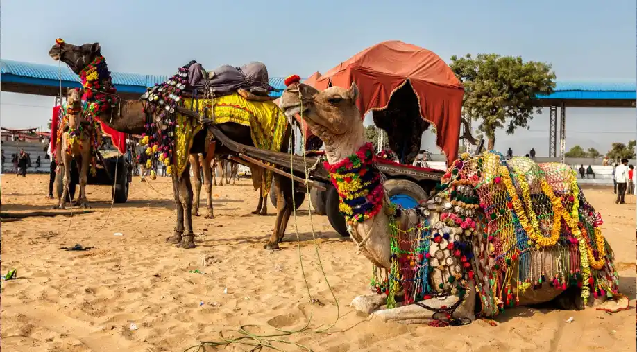 1755857018 68a8407a5e0e4