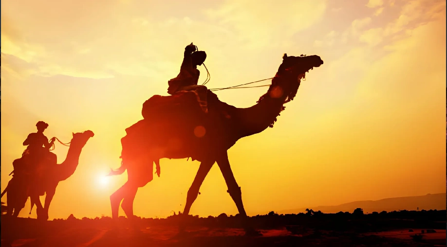 1755925632 68a94c8023815