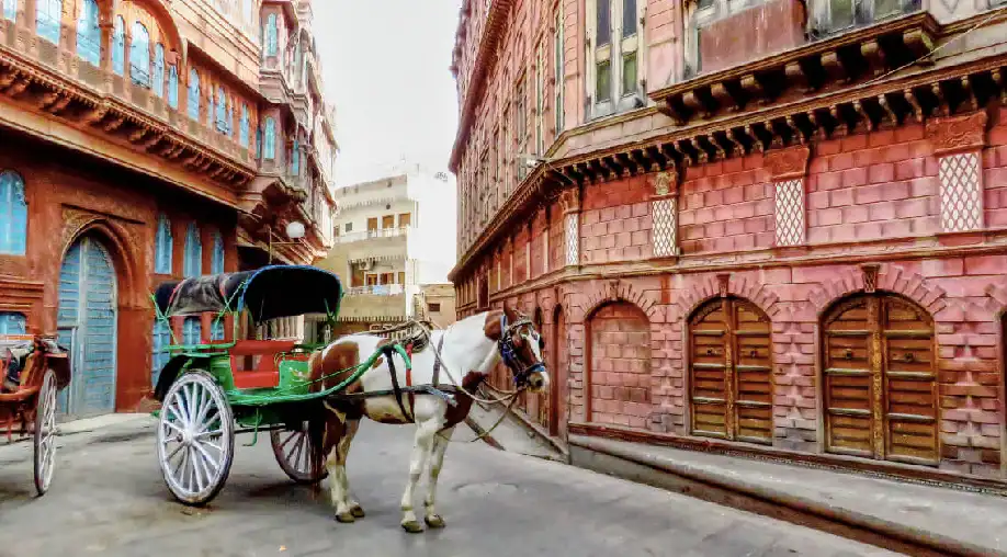 1756193631 68ad635f63dad