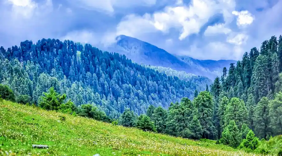 Dalhousie Tour Packages from Bangalore