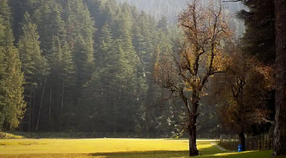 1756975515 68b9519baeb5a