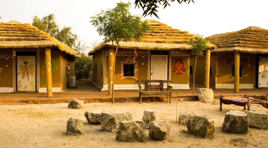 Bishnoi Village Tour from Jodhpur