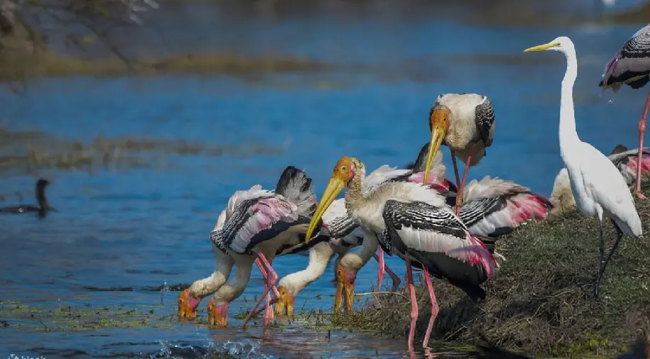 1757410126 68bff34e1bdf9