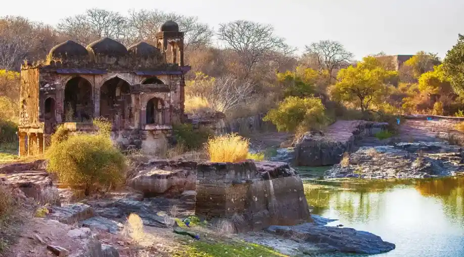 1758005490 68c908f223a7f