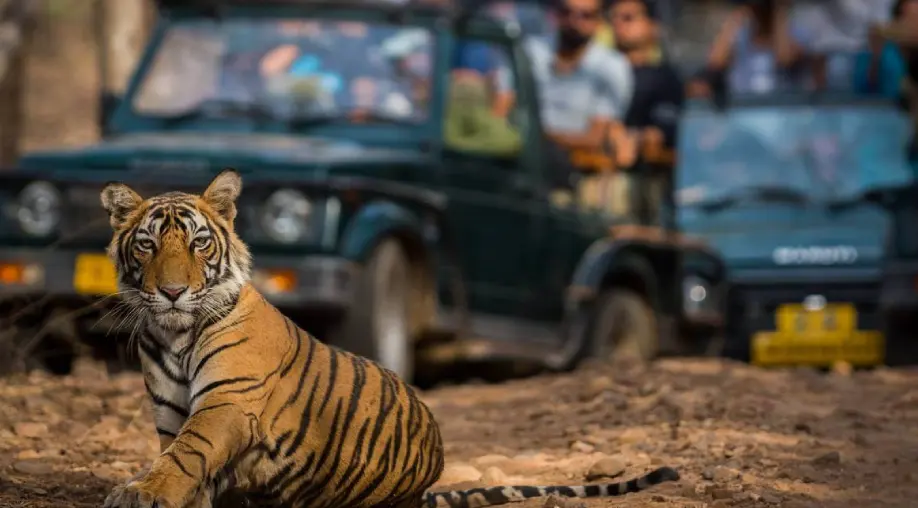 1758005794 68c90a2237d48