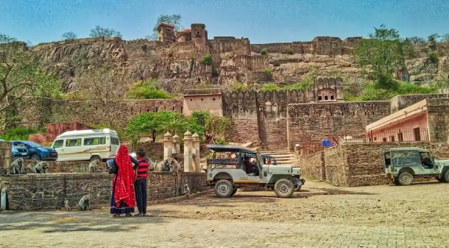 Ranthambore Tour Packages from Tamil Nadu