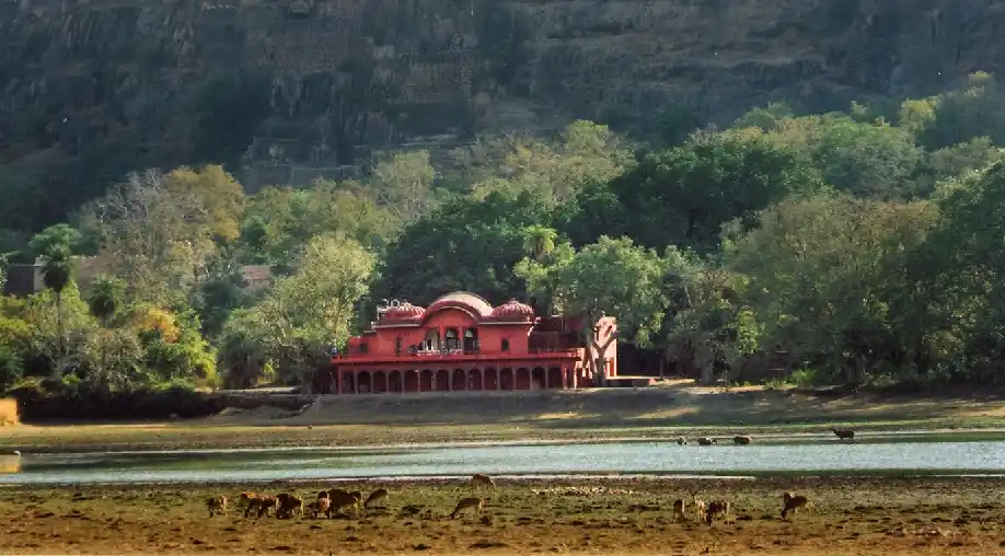 1758008159 68c9135febf71