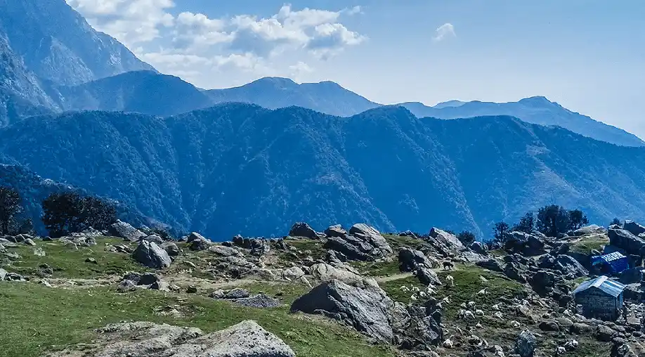 1758177401 68cba8790dcf4