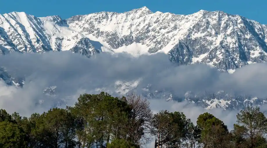 1758178184 68cbab88b6222