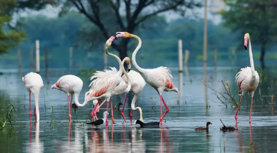 1758869362 68d63772963fb