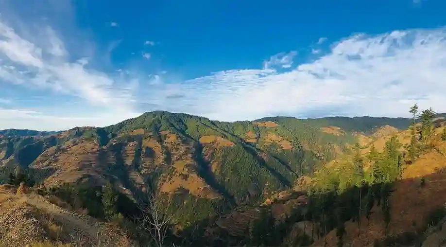 1758874584 68d64bd8258b3