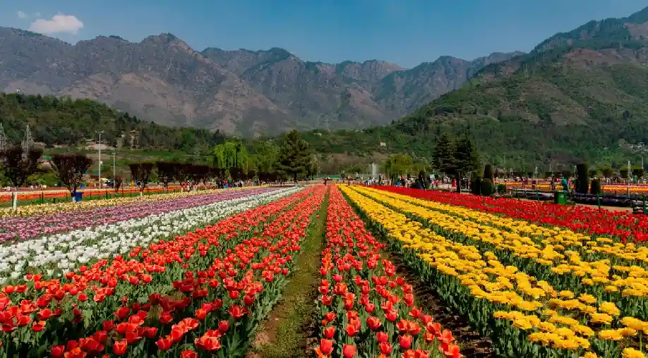 1759131345 68da36d1265b7