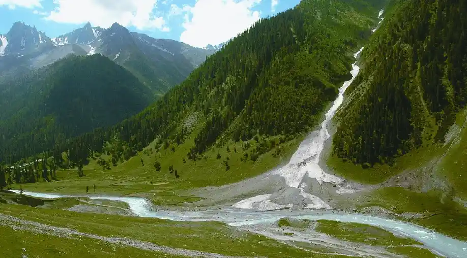 1759471991 68df69772def8