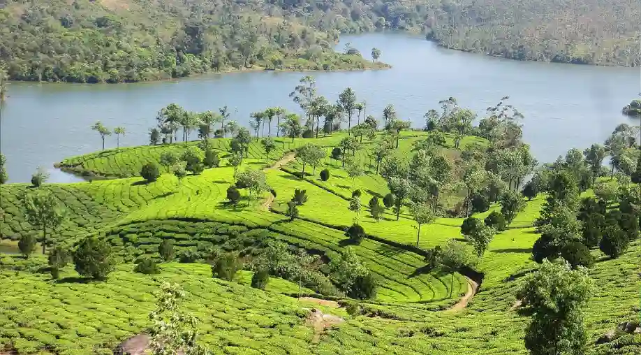 Palampur Tour Packages from Chennai