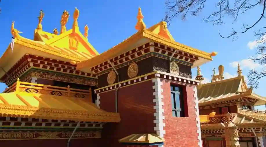 Palampur Tour Packages from Cochin