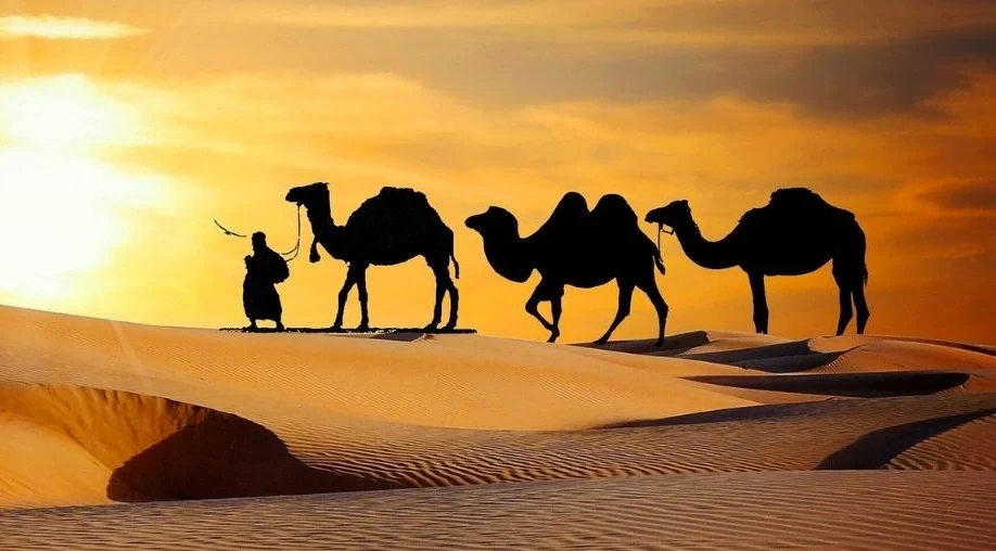 1760074967 68e89cd72985d