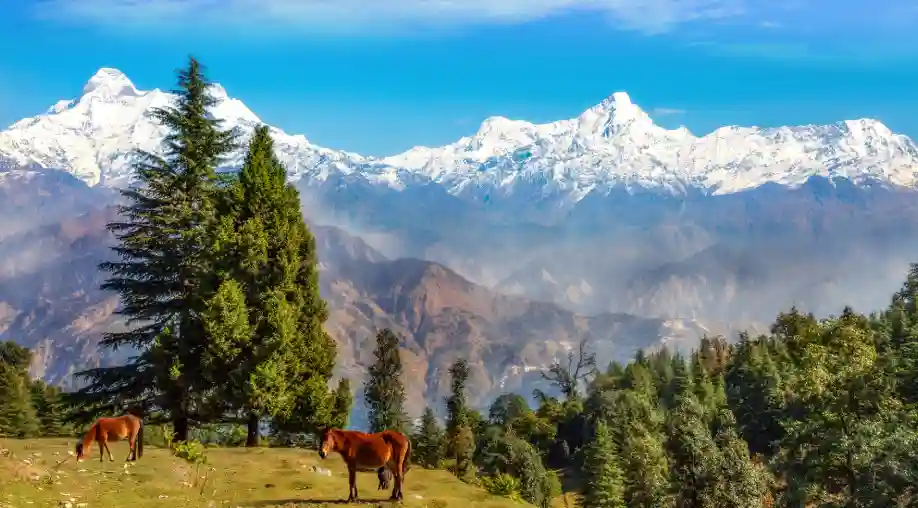 1760168484 68ea0a246e831