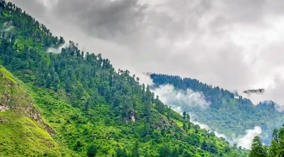 6 Nights 7 Days Palampur Tour Package