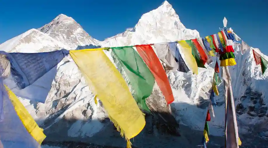 1761648966 6900a1462b26a