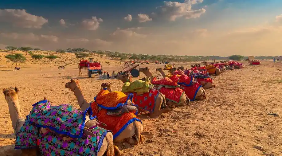 Luxury Desert Triangle Tour Package