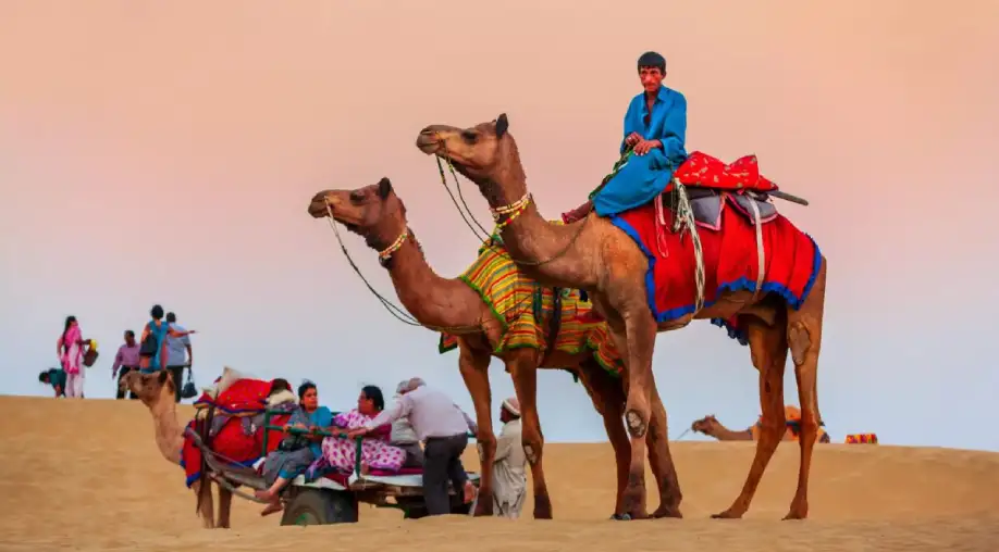 Camel Safari in Jaisalmer