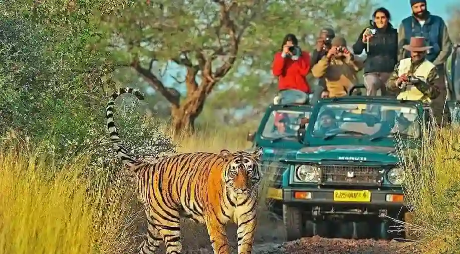 1761977241 6905a39995214