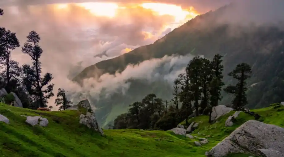 1761988998 6905d1861bab8