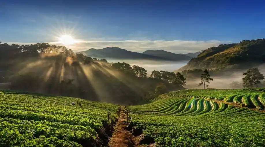 1761990921 6905d90975ce5