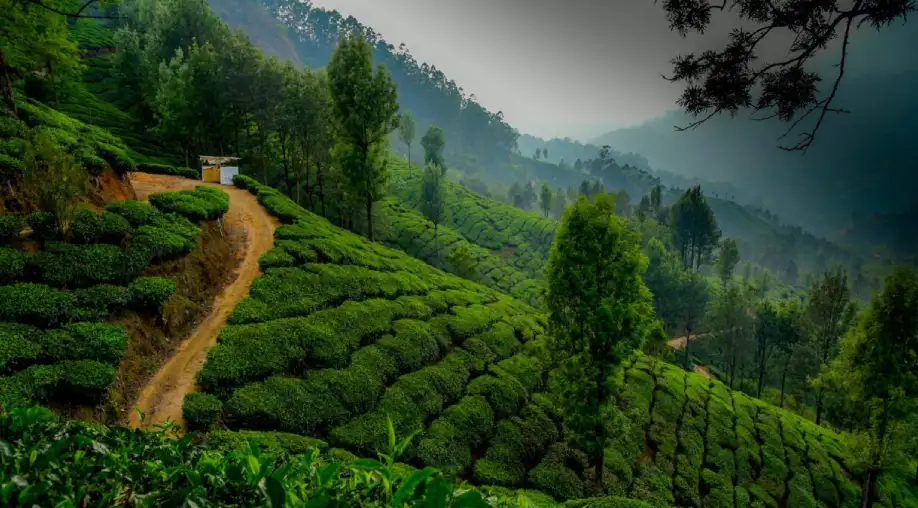 1762233859 69098e03ba2a2