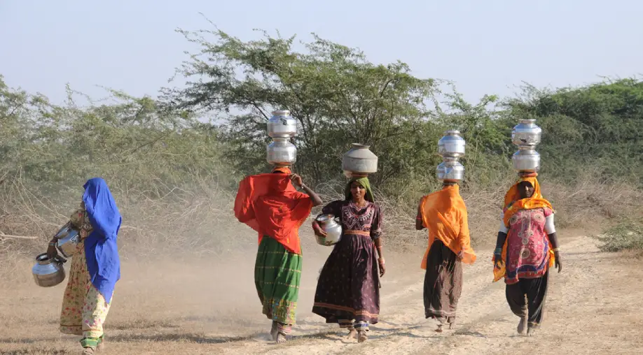 1763984921 69244619d076f