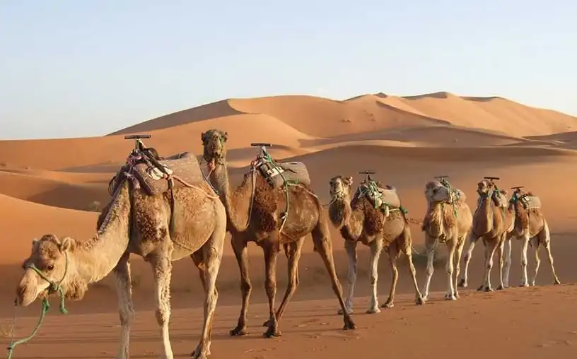 1766489874 694a7f12d8f01