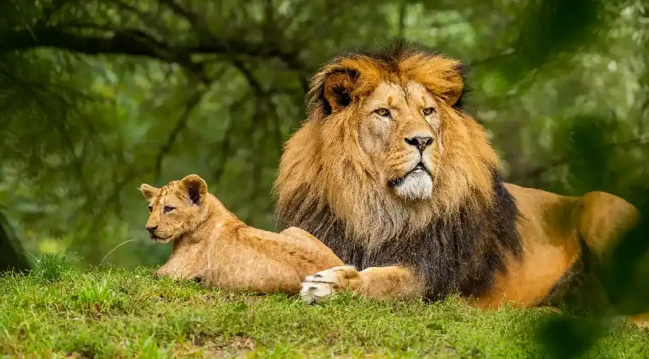 1767171526 6954e5c68cdda