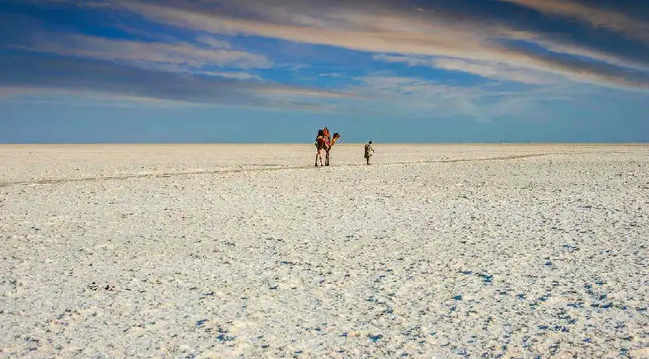 1767268527 695660af397a8