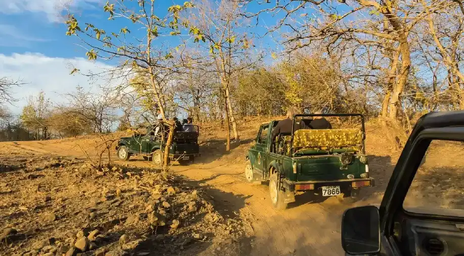 1767352093 6957a71dda9d6