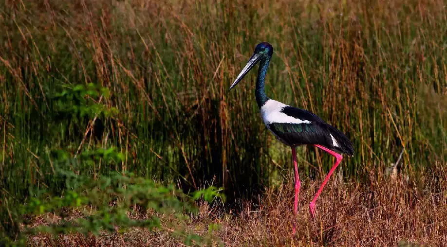 1767353358 6957ac0e4c50a