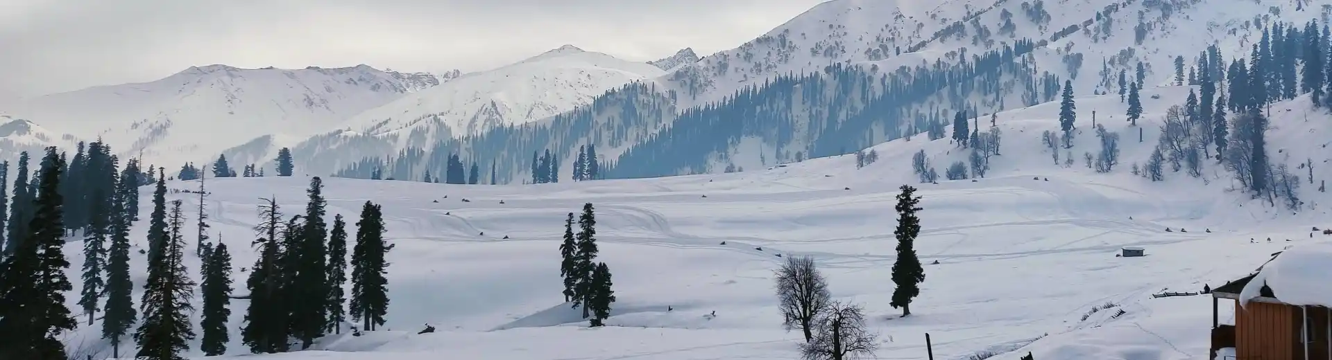 Kashmir Tour Package from Chandigarh