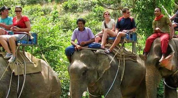 elephant-safari-in-amer-jaipur