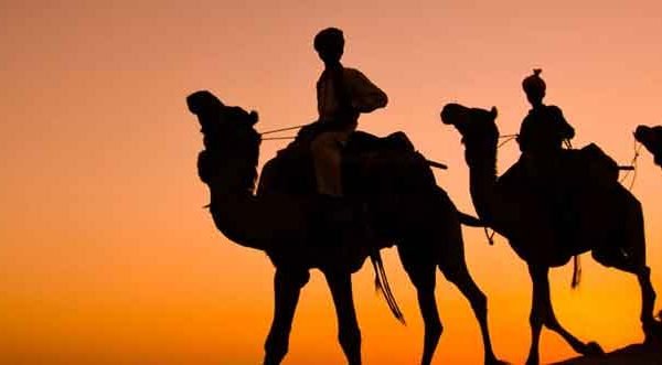 enjoy-camel-safari-in-rajasthan
