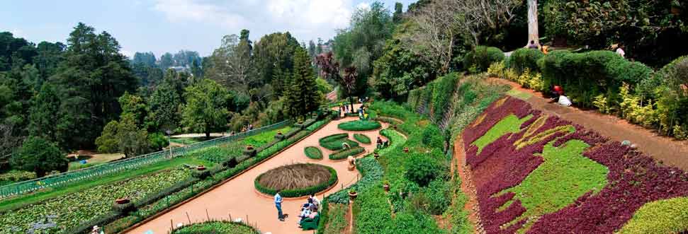 ooty-valentine-day-tour